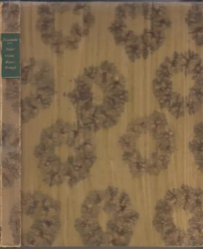 Buch: Japanische Reisebriefe, Neustadt, Arthur, 1913, Paul Cassirer, noch gut