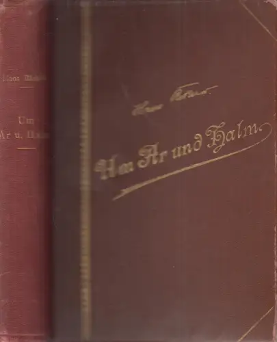 Buch: Um Ar und Halm, Roman. Richter, Hans, Deutsches Verlagshaus Bong & Co.