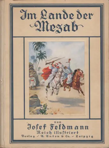 Buch: Im Lande der Mezab, Feldmann, Josef, Verlag A. Anton, guter Zustand