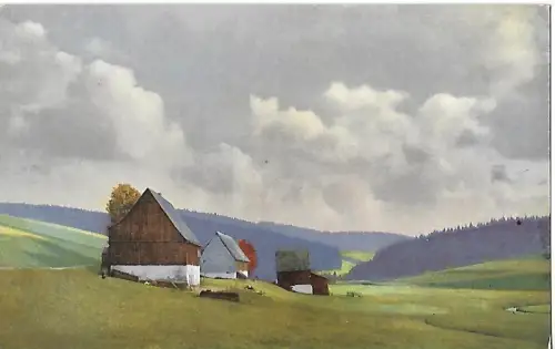 AK Zaunhaus. Rehefeld. Kalkofen. ca. 1915, gebraucht, gut