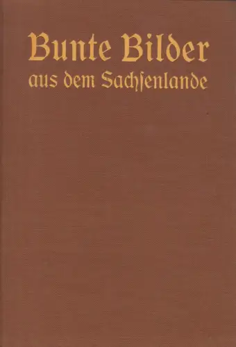 Buch: Bunte Bilder aus dem Sachsenlande, Vierter Band, 1927, Pestalozzi-Verein