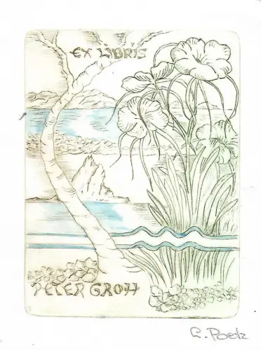 Original Grafik Exlibris: Peter Groh, Radierung, Poetz, Pflanzen, Natur, gut
