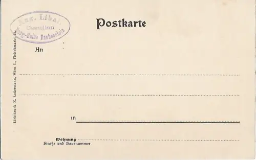 AK Burg Rauhenstein. Ruine Rauhenstein. Baden, N-Oe.. ca. 1913, Postkarte