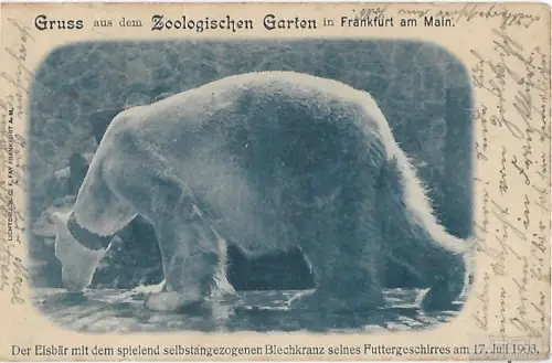 AK Gruss aus dem Zoologischen Garten in Frankfurt am Main. ca. 1905, Postkarte