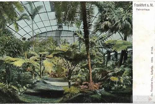 AK Frankfurt a. M. Palmenhaus. ca. 1904, Postkarte. Serien Nr, ca. 1904