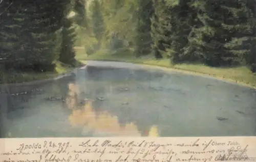 AK Apolda. Oberer Teich. ca. 1907, Postkarte. Serien Nr, ca. 1907