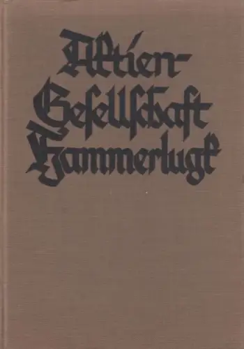 Buch: Aktien-Gesellschaft Hammerlugk, Schröder, Karl. 1928, Erzählung