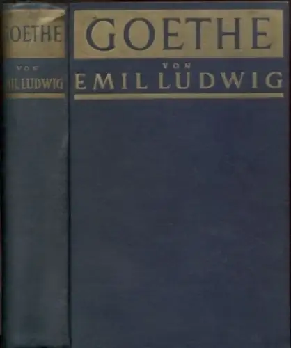 Buch: Goethe, Ludwig, Emil. 1931, Paul Zsolnay Verlag, Geschichte eines Menschen