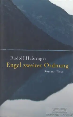 Buch: Engel zweiter Ordnung, Habringer, Rudolf. 2011, Picus Verlag, Roman
