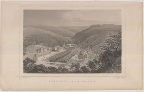 Grafik: Alexisbad im Selkethal, Joh Poppel, L. Rohbock, 1850, Stahlstich, Lange