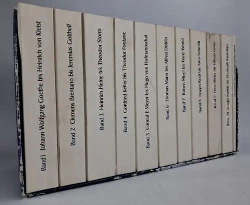 Buch: Der Kanon - Die deutsche Literatur. 10 Bände und ein Begleitband, Insel