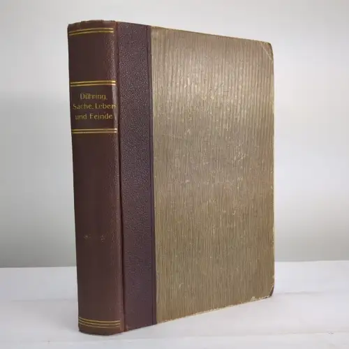 Buch: Sache, Leben und Feinde, Eugen Dühring, 1903, Verlag Theodor Thomas