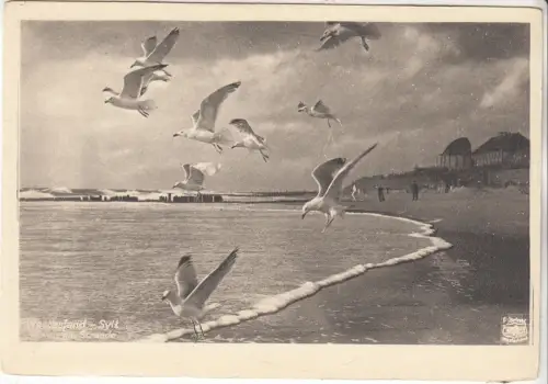 AK Westerland-Sylt. Möven am Strande, Edmund Kummer, Postkarte, ungelaufen