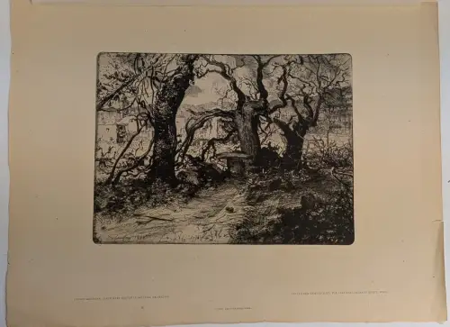 Original-Radierung: Zerstörter Garten in Salcano, Ludwig Michalek, Staatsdruck