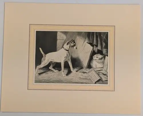 Stahlstich: Verschmähte Freundschaft, A. H. Payne, Originalgrafik, Katze, Hund