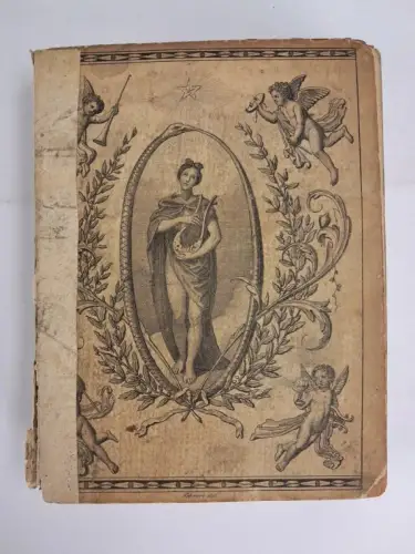 Buch: Taschenbuch für das Jahr 1823, 9. Jahrgang, Joh. Babt. Wallishausser, Wien