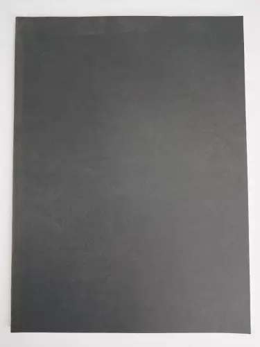 Buch: Fotografie in Aktion, Kurt Buchwald, 1992, ex pose, gebraucht, gut