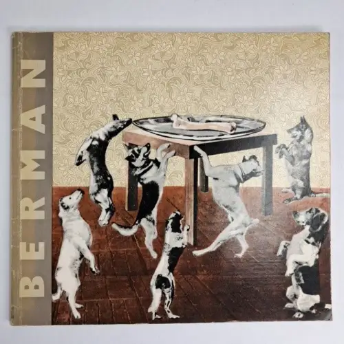 Buch: Fotomontaee Mieczyslawa Bermana, Ignacy Witz, 1964, Artystyczno-Graficzne