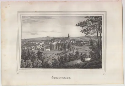 Lithografie: Dippoldiswalda, 1836, Eduard Pietzsch & Comp, Grafik, Ansicht