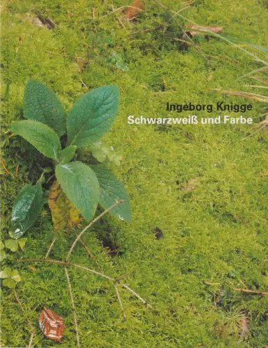 Buch: Ingeborg Knigge  Schwarzweiß und Farbe, 2002, Stiftung Demokratie Saarland