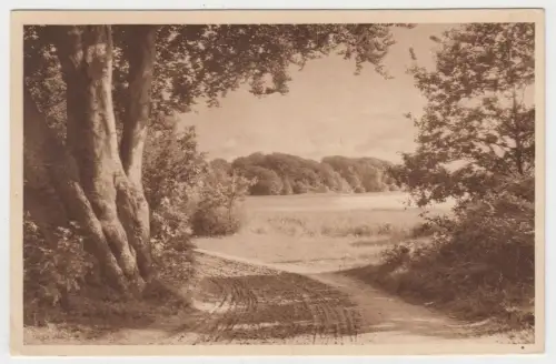AK Hinein ins weite herrliche Land, Hermann A. Wiechmann, Goslar, Postkarte