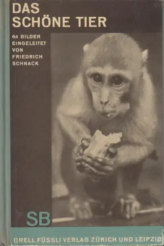Buch: Das schöne Tier, Walter Schnack, Orell Füssli Schaubücher 9, gebraucht gut