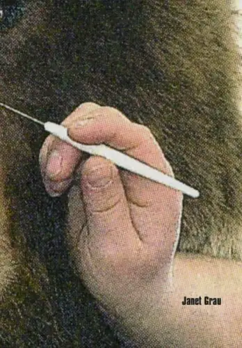 Buch: Janet Grau, Steiner, Barbara, 2004, Sandstein, gebraucht, sehr gut