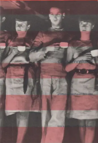 Buch: Stiftung Bauhaus Dessau, Die Sammlung. Geschichte und Profil, Hatje, 1995