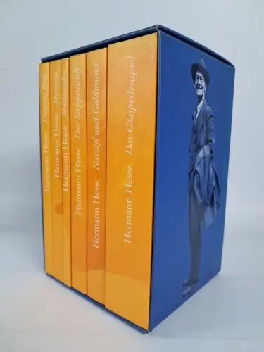 Buch: 6 Romane Hermann Hesse, Glasperlenspiel, Steppenwolf, Demian, Unterm Rad..