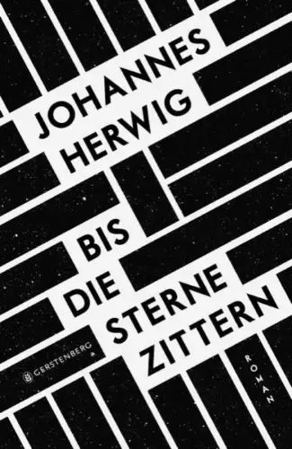 Buch: Bis die Sterne zittern, Herwig, Johannes, 2020, Gerstenberg Verlag