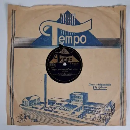 Schellackplatte: Vogerl Fliegst In Die Welt Hinaus / Weißt Du Mutterl ... Tempo