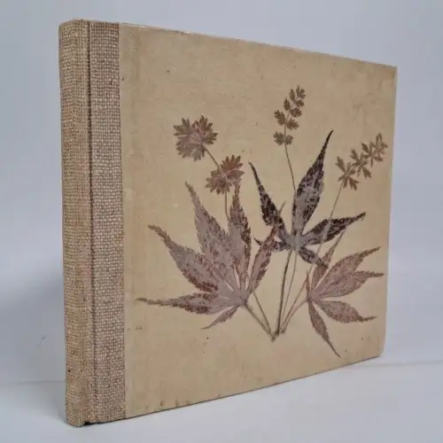 Einzigartiges Fotoalbum Mitte 20. Jahrhundert, Familie, Haus, Geburtstag