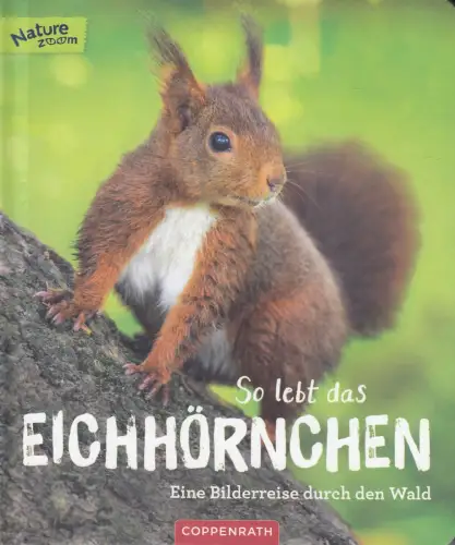 Buch: So lebt das Eichhörnchen, Eine Bilderreise durch den Wald, 2019, sehr gut