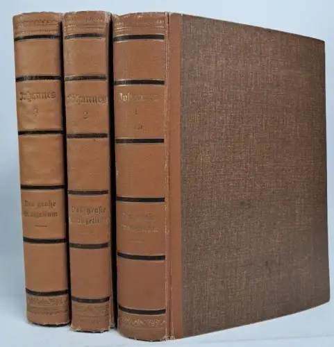 Buch: Johannes. Das große Evangelium 1-3, Jakob Lorber, 1909, Neu-Salems-Verlag