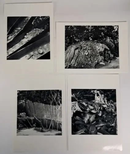 4x Fotografie XV: Jäger - Zentralafrikanische Republik, Winfried Bullinger
