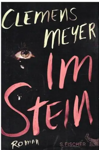 Buch: Im Stein, Roman. Meyer, Clemens, 2013, Heyne Verlag, gebraucht, gut