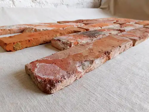 Loft Ziegel Verblendsteine Klinker Riemchen original Mauerziegel Steinwand Antik used look
