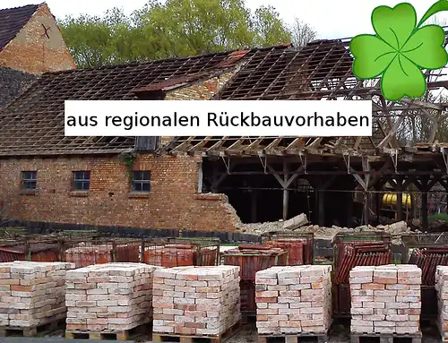 Antik Klinker Mauer Ziegel alte Rückbau Back Steine Weinkeller Loft Garten Bau Ruine Feldbrand Handstrich