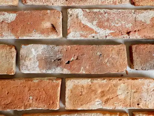  Alter Ziegel antik Riemchen Mauer verblend stein Wand gestaltung orig Feldbrand Handgestrichen