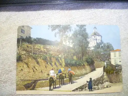 San Remo : Riviera di Ponente  : col Fotopostkarte  gelaufen um 1910