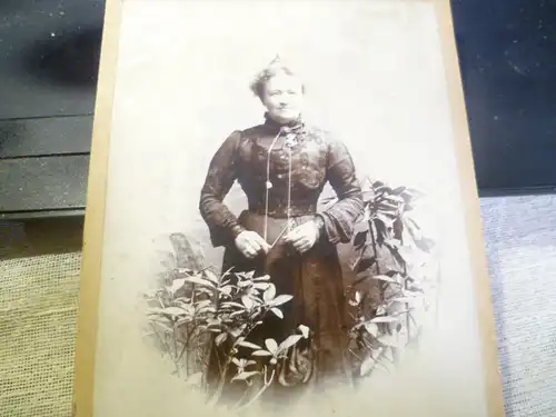 D.C, Harries Llandeilo Fotograf (1866-1940) gr. Foto einer Dame der Gesellschaft um 1900