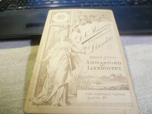 D.C, Harries Llandeilo Fotograf (1866-1940) gr. Foto einer Dame der Gesellschaft um 1900