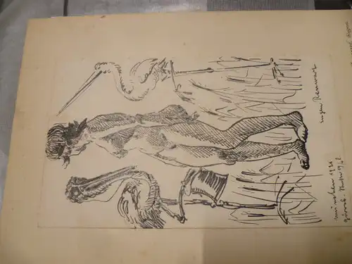 Akt von Renwart Eugen 1885 Bozen - 1968 München eine fein gemalte Federzeichnung Mädchenakt mit Pelikan und Storch
