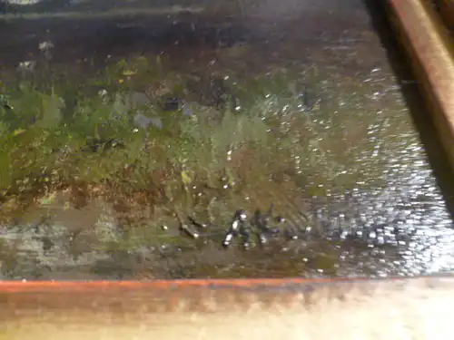 Anton Windmaier 1840 Pfarrkirchen-1896 München"Schloss Emming bei 84347 Eresing , unter mit rotem Regenschirm spazierendesPärchen