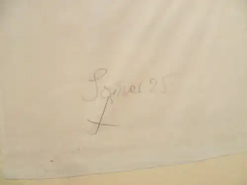 Prof. Hermann Flesche 1886-Braunschweig 1972 "Botanische Garten Braunschweig"datiert 1924