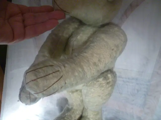 Bär 5332,2 von 1917 !! ausgeprägter Buckel Teddybär seltene Manufaktur Willy Weiersmüller aus Nürnberg  seltenes Mohair blond, 4