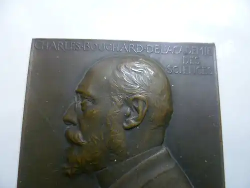 Jules-Clément Chaplain 1839-1909  Bronze C.J.Bouchard 1902 schuf anlässlich des 65. Geburtstages von Charles-Joseph Bouchard