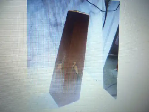 Intarsierte Zylindrische Vase mit 4 verschiedenen Vogelintarsien , signiert Siegfried Zahn Plauen Vintage aus den 1960 Jahren