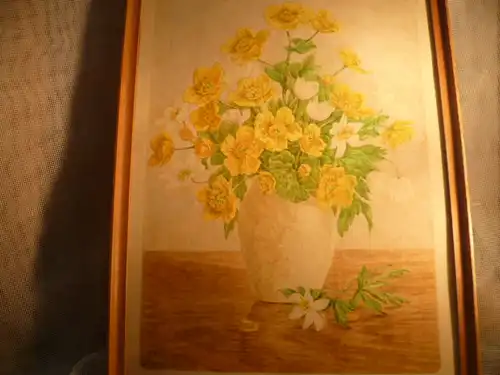 Goller Hedwig 1920 -? "Margariten in Vase stehen auf einem Tisch" detailliert naturalistisch ausgeführtes  Aquarell links  sig H.Goller 1959