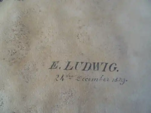 Karl Julius Emil Ludwig  1839  1901 verschiedene Baumstudien datiert 1829